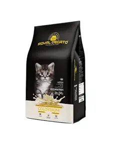 ROYAL DEGATO Kitten -(Upto 12 Months)- Dry CAT Food |Ocean Fish | 36% Protein | 18% Fat | Colostrum |
