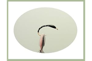 TROUTFLIES UK WET FLIES Buzzer Trout Fly, 12 Black Epoxy Buzzers, Mixed 10/12/14/16, For Fly Fishing