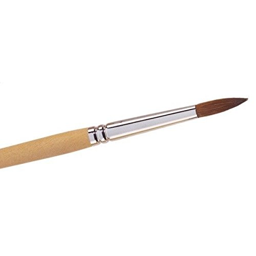 Professional Pointed Acrylic Brush For Nails