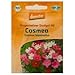 Produktbild Bingenheimer Saatgut Cosmea (1 Stück) - Bio