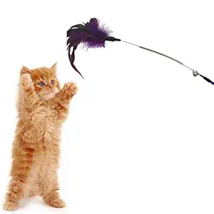 PoochBox Pet Cat Feather Spring Stick Teaser Kitten Interactive Bell Rod Wand Playing Toy -1 Piece (Color May Vary)
