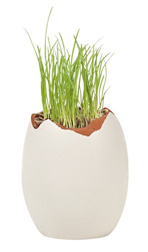 Preisvergleich Produktbild Trendhaus 942814 - Graskopf-Ei Ostern