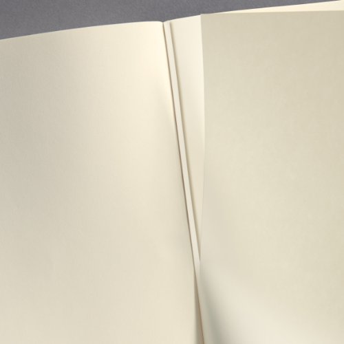 Sigel CO210 Notizbuch, ca. A4, blanko, Softcover, schwarz, CONCEPTUM – weitere Farben - 8