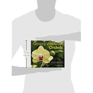 Growing Windowsill Orchids