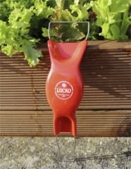 Bobby-Seeds Jätefaust Lucko Rot