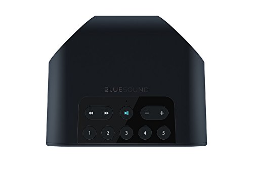 Bluesound-Pulse-Flex-Ultra-Compact-Portable-All-in-One-Wireless-Speaker-Black