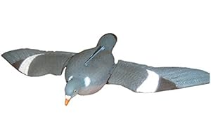 RA Sport Paloma torcaz Abre Las alas