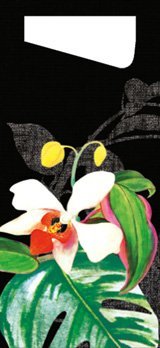 Preisvergleich Produktbild Duni Serviettentasche Bestecktasche Sacchetto Tropical 190x85 mm 100er Pck.