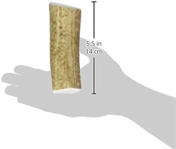 PAWCY SZA-5504 Antler, X-Large