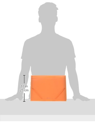 Plus Office A4-12 - Carpeta clasificadora  12 separadores  A4  naranja