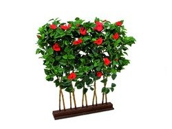 Preisvergleich Produktbild EUROPALMS Hibiskus-Hecke, 90x110cm