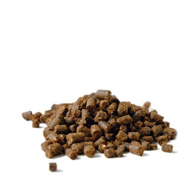 Neembaum-Pellets 1kg Neempresskuchen