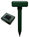 Produktbild Nagetiervertreiber „Maulwurfschreck“, Solar-Version