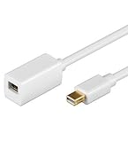  Wentronic - Cable mini DisplayPort alargador (de conector DisplayPort hembra a macho, 1 m) 2 unidades