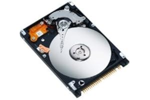 DIOWENY DCL VALUE 80GB 2.5 inch IDE/PATA Hard Drive