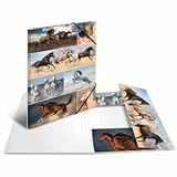 Aus stabilem Karton Herma 3 x Sammelmappe A3 Pappe Pferde