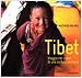 Tibet. Viaggio nel cuore di una cultura secolare. Ediz. illustrata - Matthieu Ricard