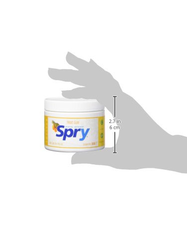 Spry Xylitol Gum Fresh Fruit 100 Count