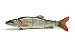 Produktbild Swimbait Multi Gelenk-Fischen-Köder realistisch Chub Roach Dace Muster und schwimmen Aktion für Hecht, Barsch, Zander und Bass 160mm 40 Gramm