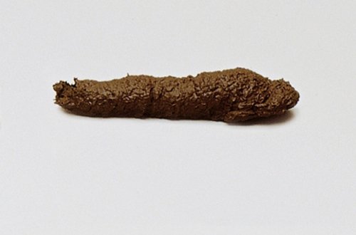 Sanromá 21D - Caca larga