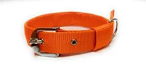 Pet D Nylon Double Layer Collar for Dogs (Medium to Large Size Dogs) (Orange)