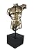 Produktbild Bronze Finish Nude Male Torso Statue Figur Anatomie
