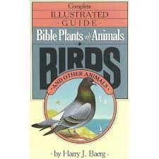 Bible Plants and Birds livre
