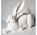 Produktbild Ottmar Hörl – Collection Hase Design von Ottmar Hörl, weiß, 26 cm