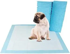 RvPaws Disposable Pet Training Pads 60x90 cms Large Puppy Pee and Potty Pads with Quick Drying Surface & Absorbent Core, Suitable for Small/Medium/Large Breed Pets, Dogs, Cats, 50 pcs