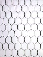 50 meters of Chicken Wire 600x25x50mt. Wire netting 2FT High