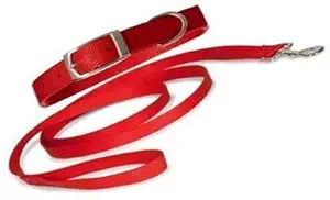 SSM PET MART 1/2 Inch Red Designed Belt for Your Puppy, Cat & Small Dog Collar Belt, Dog Collar & Leash