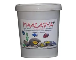 Maalavya 0.5KG Fish Feed/Food 36 Karat Cichlid Special 1MM Size (No Colors Added) Fish Food