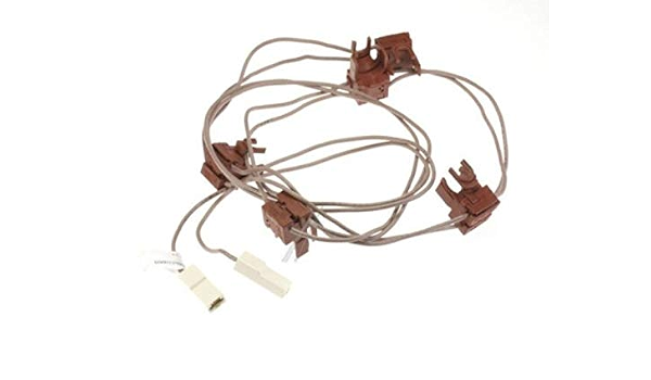 CATENARIA ASSIEME MICROINTERRUTTORI PER PIANO COTTURA HOTPOINT INDESIT  C00288742 : Amazon.it: Grandi elettrodomestici
