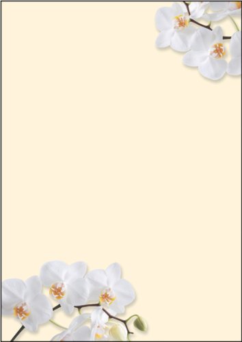 Sigel DP904 Motiv-Papier "White Orchid", Briefpapier 90 g, DIN A4, 50 Blatt - weitere Motive