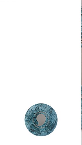 S’well Petrol / 25oz Holz Wasserflasche TEAL WOOD - 3