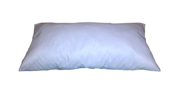 22 inch pillow insert