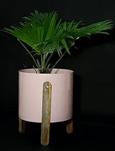 Decoright Pink Big Planter with Wooden Stand