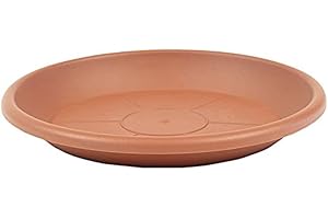 greemotion Soucoupe pour pot de fleur rond couleur terre cuite Ø24 cm - Dessous de pot de fleurs en plastique - Sous-pot pour plantes - Plateau pour pot de fleurs rond