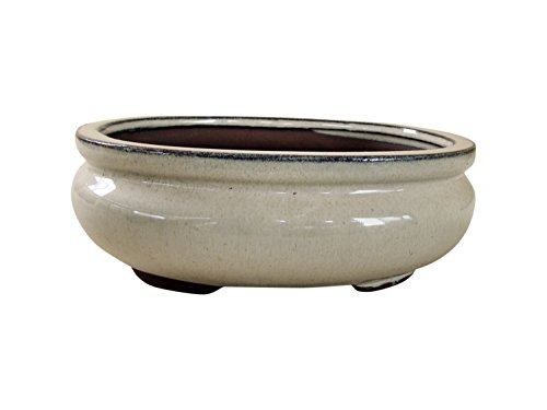 Bonsaischale glasiert braun eckig, L 16 x B 12,5 x H 7 cm MIT UNTERSETZER + kostenlose Abdecknetze