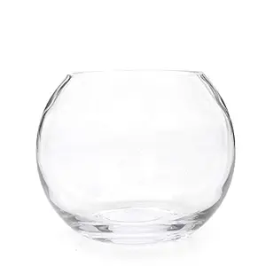 Fourwalls Glass Flower Vase (20 cm x 20 cm x 20 cm, Transparent)