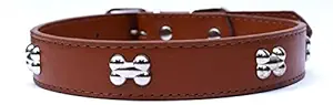 Sollar's Brown Bone Genuine Leather Medium Dog Collar