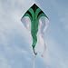 Produktbild Einleiner / Großdrachen - F-Tail DART green - geeignet für leichten bis kräftigen Wind - 200x680cm - inkl. 60m geflochtene Drachenschnur auf Winder