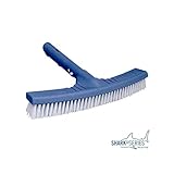 Género del producto: Spazzole_per_piscina