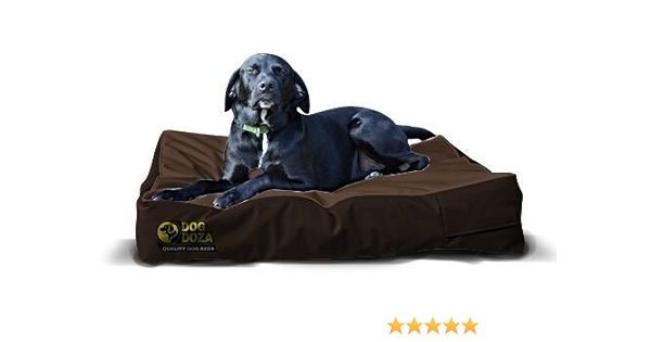 dog beds odor resistant