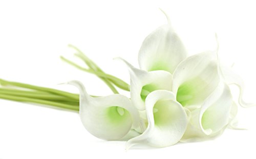 FiveSeasonStuff 10 Stück Qualität Gefühlsecht (Real Touch) Calla-Lilien-künstliche Blumen-Bouquet Dekoration, ideal für die Hochzeit, Braut, Party, Zuhause, Büro Dekor DIY (Weiß und Grün Griffel) - 3