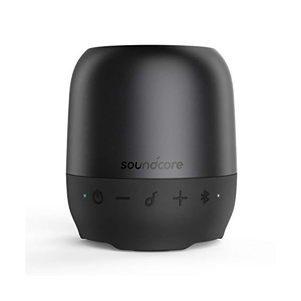 Anker Soundcore Ace A1 Portable Bluetooth Speaker, Wireless Portable Speaker with Big Sound, Rich Bass, 6-Hour Playtime…