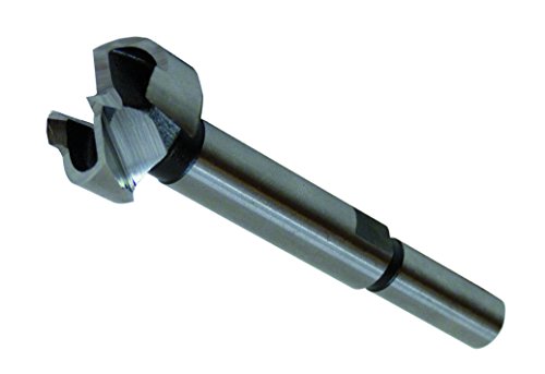 Preisvergleich Produktbild Colt EcoCut PLUS Forstnerbohrer Dm 25mm