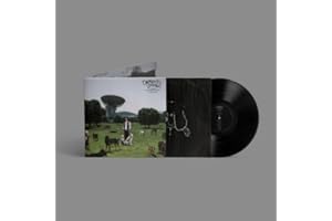 LOS PERROS NO ENTIENDEN INTERNET