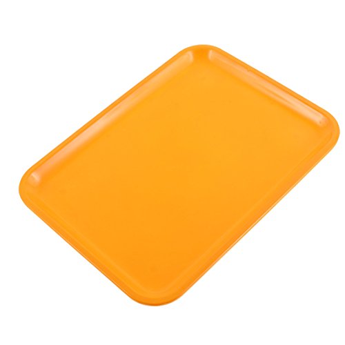 Preisvergleich Produktbild 10" lang Rechteckform Servier Tablett aus Kunststoff