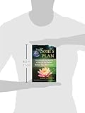 Image de Your Soul's Plan: Discovering the Real Meaning of the Life You Planned Before You Were Born